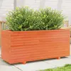 Image de vidaXL Jardinière 3282561