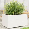 Image de VidaXL Jardinière 90 cm - Bois de pin Blanc