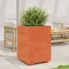 Image de VIDAXL Jardinière cire marron - Bois de pin 50x50x72,5 cm