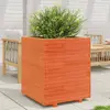 Image de vidaXL Jardinière carrée cire marron 60x60