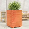 Image de vidaXL Jardinière - Cire Marron