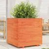 Image de vidaXL Jardinière cire marron