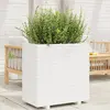Image de vidaXL Jardinière en bois de pin - Blanc