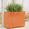 Image de Jardinière cire marron 90x40x72 cm bois de pin