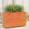 Image de vidaXL Jardinière - Bois de Pin