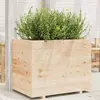 Image de vidaXL Jardinière à herbes en pin massif