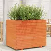 Image de vidaXL Jardinière cire marron 90x60x72 cm