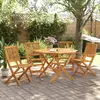 Image de vidaXL Ensemble à manger pliable 5 pcs
