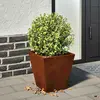 Image de VIDAXL Jardinière - Acier 30x30x30 cm Intempéries