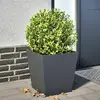 Image de vidaXL Jardinière acier - 40x40x40 cm - Anthracite