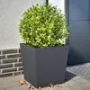 Image de vidaXL Jardinières 2 pcs 50x50x50 cm - Anthracite