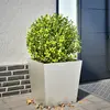 Image de vidaXL Jardinière acier inoxydable 50 cm