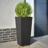 Image de vidaXL Jardinières Noir 2 pcs