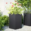Image de vidaXL Jardinière Hexagone - 46 cm Noir