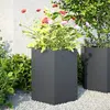 Image de vidaXL Jardinières 851113 - Anthracite