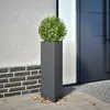 Image de vidaXL Jardinière triangulaire en acier 30x26x75 cm - Anthracite