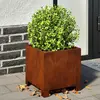 Image de VIDAXL Jardinières 2 pcs - Acier