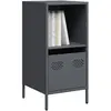 Image de vidaXL Buffet - Anthracite