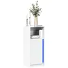 Image de vidaXL Buffet avec LED Blanc 42,5x34x100 cm