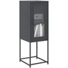 Image de Vidaxl Buffet 36x39x107 cm - Anthracite