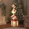 Image de vidaXL Boîte-cadeau de Noël LED - Blanc chaud