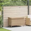 Image de vidaXL Boîte de rangement de jardin résine tressée