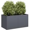 Image de vidaXL Jardinière - Anthracite