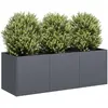 Image de vidaXL Jardinière - Anthracite