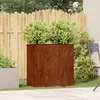 Image de vidaXL Jardinière - Acier Corten rouillé 80x40x80 cm