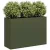 Image de vidaXL Jardinière Vert Olive