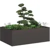 Image de vidaXL Jardinière acier noir 120x80x40 cm