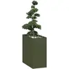 Image de vidaXL Jardinière Vert Olive