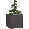 Image de vidaXL Jardinière Noir