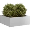 Image de vidaXL Jardinière Acier Galvanisé