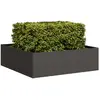 Image de vidaXL Jardinière acier - 100x100x30 cm - Noir