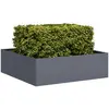 Image de vidaXL Jardinière Anthracite