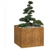 Image de vidaXL Jardinière rouillé - 100x100x80 cm