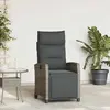 Image de vidaXL Chaise de Jardin Inclinable Gris