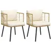 Image de vidaXL Chaises de jardin en résine tressée - Lot de 2