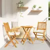 Image de vidaXL Chaises de jardin pliantes en bois d'acacia solide
