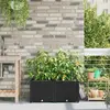 Image de vidaXL Jardinières avec Système d'Irrigation 2 pcs - Noir