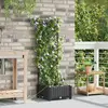 Image de vidaXL Jardinières avec système d'irrigation en eau Noir