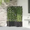 Image de vidaXL Jardinières avec système d'irrigation 3 pièces Noir