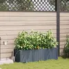 Image de vidaXL Jardinières avec système d'irrigation à eau 3 pcs - Gris clair