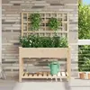 Image de vidaXL Jardinière avec treillis et étagère 115x59x152 cm - Bois massif de sapin