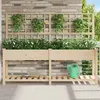 Image de vidaXL Jardinière avec treillis et étagère - Bois de sapin
