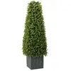 Image de vidaXL Tour en Herbe Eucalyptus Vert 27 x 27 x 90 cm Plastique