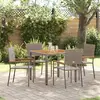 Image de vidaXL Ensemble de salle à manger pour jardin 5 pcs Gris polyrotin