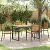 Image de vidaXL Ensemble de salle à manger pour jardin 5 pcs Noir et Marron