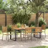 Image de vidaXL Ensemble de salle à manger pour jardin 7 pcs Gris et marron